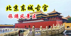 后入式操空姐中国北京-东城古宫旅游风景区